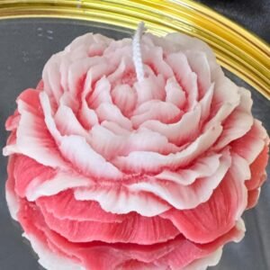 Bougie rose 2 Colors